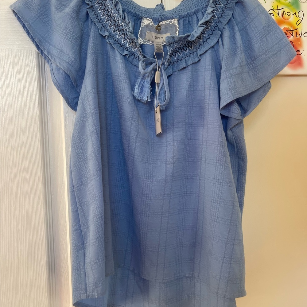 Cupio Light Blue Smocked Blouse